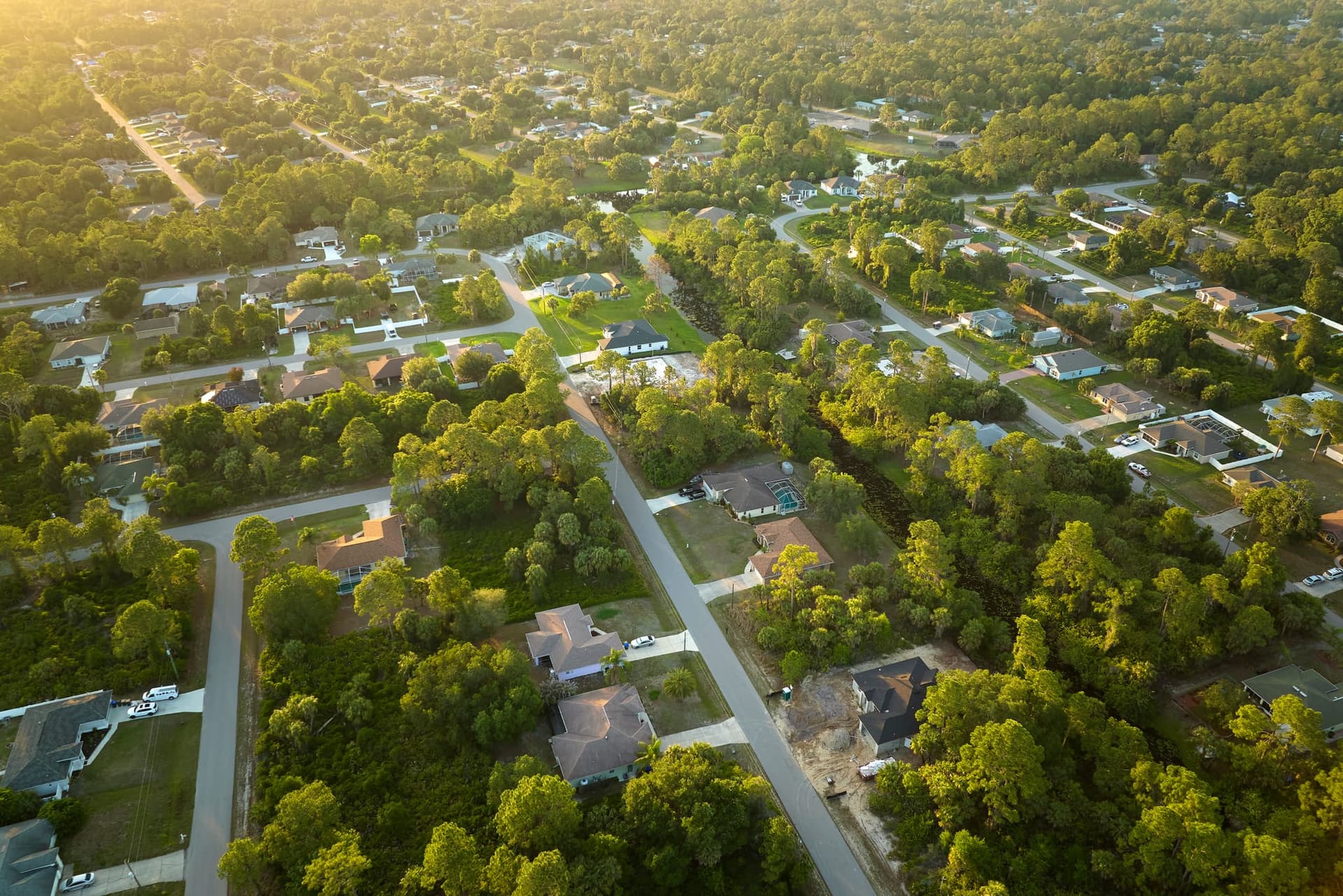 Aerial view of a leafy suburban neighborhood laid out along curving tree-lined streets